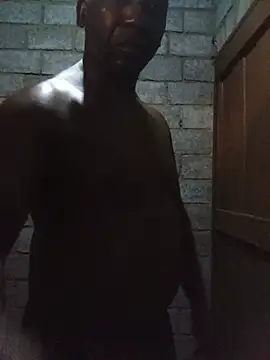 WiseDi