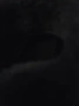 misterBigDick19
