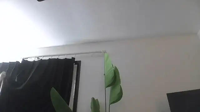 WetFlower69 live cam preview