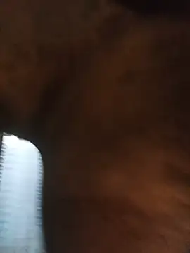 Hiptonos