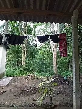 Hiptonos