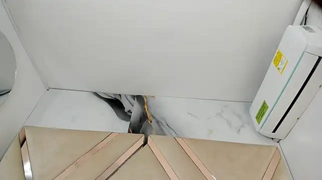 arixht live cam preview