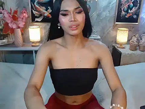 toptrans_akira webcam