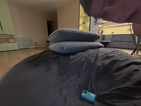 Mit9_NSK live cam preview