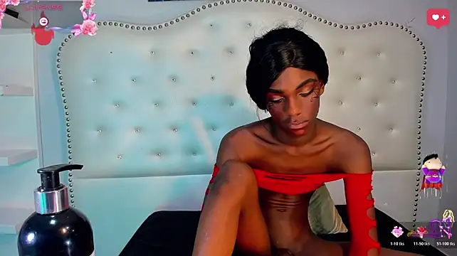 ALONDRA-FARELO