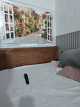 Ariana-Vy webcam