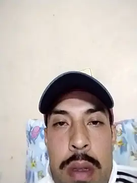 Gato33311