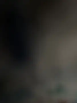 venteveo1 live cam preview
