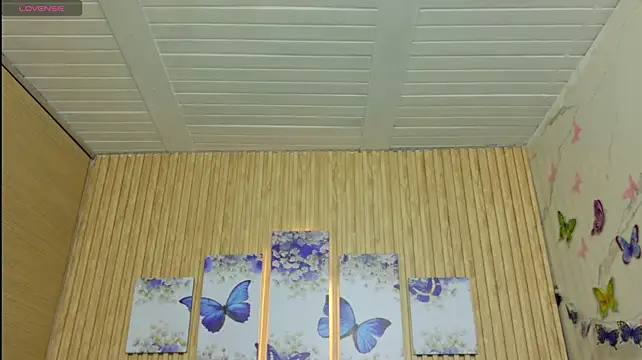 Moonceleste
