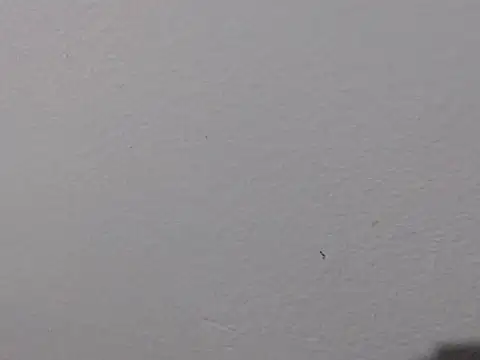 Adriana_0312 live cam preview