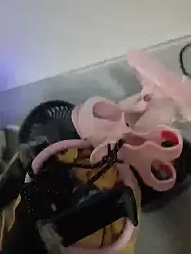 crazycam619