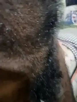 Chocolate_stud10 live cam preview