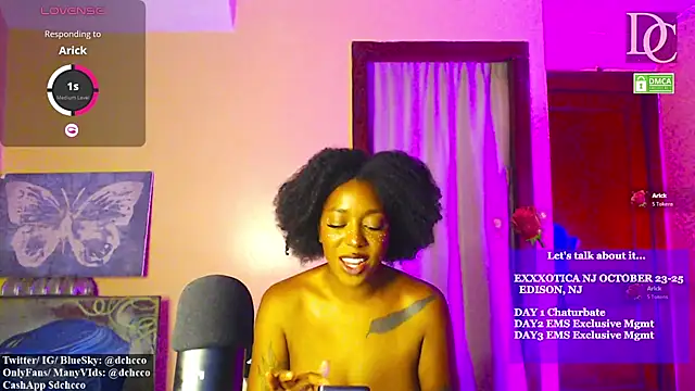 dchcco live cam preview