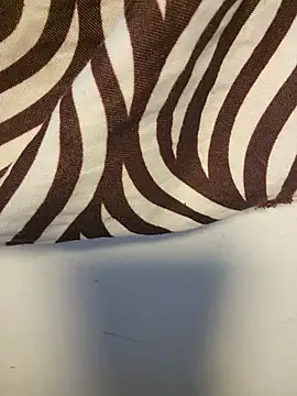 Honeybeespecial
