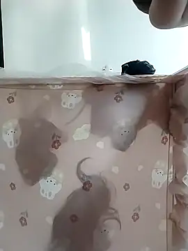 carla_69x