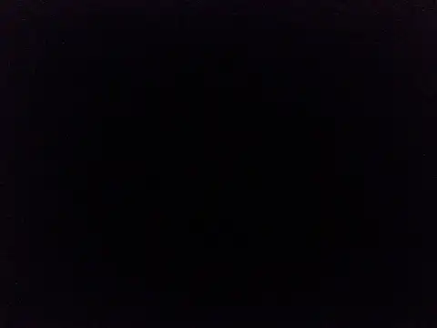 raycute9 webcam