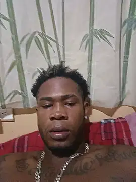 Chocoperla