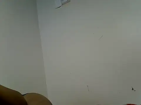 Swt_vixen