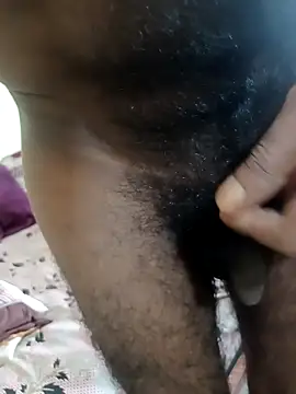 Chocolate_stud10