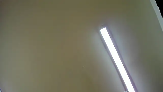 Haylin_1