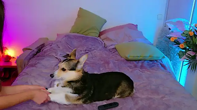 Ariana_Petite