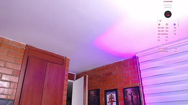 Salome-sw webcam