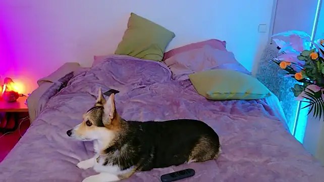 Ariana_Petite webcam