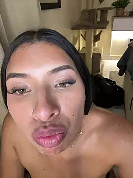 yul-nova