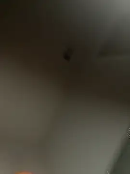 briakash live cam preview
