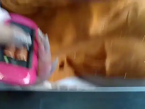 Sexy_lily1568
