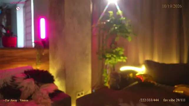 vse_sukki live cam preview