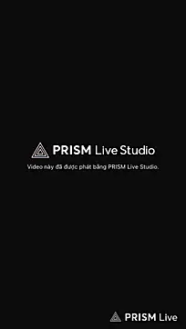 Punnybee live cam preview