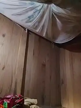 Magy-006 live cam preview