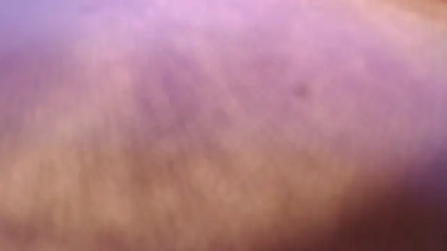 sexynipl