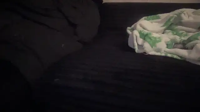 THEFOXESDEN3 live cam preview