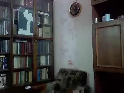 ParisGotowka live cam preview