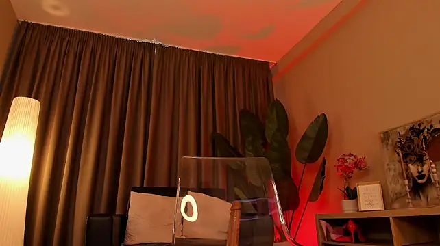 torri_kitten live cam preview