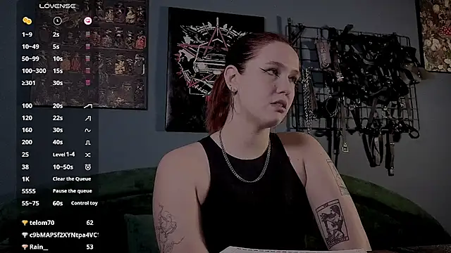 Serve_to_Alexa live cam preview
