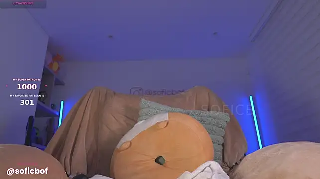 sofi_sc webcam
