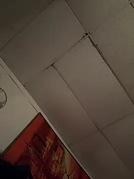 BunnyYT