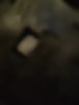 Hgay6935