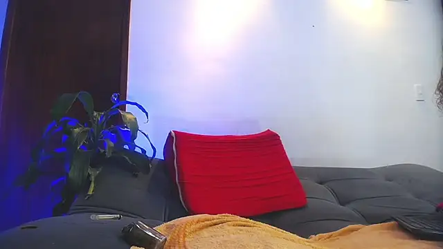 shellsy_hans