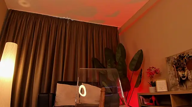 torri_kitten live cam preview