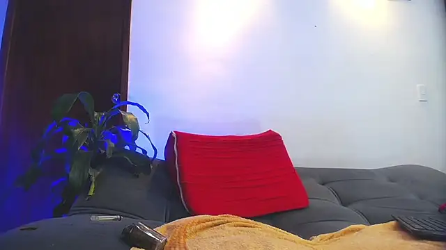 shellsy_hans