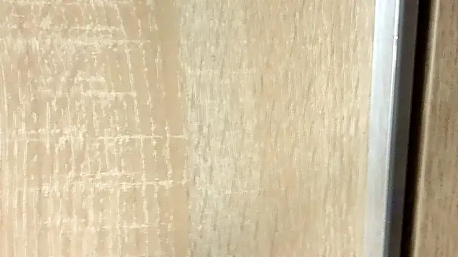 NoFace_Model