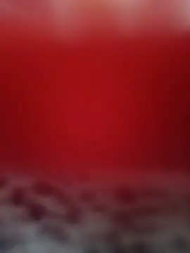 Harmony92 live cam preview