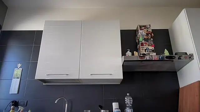 theitalianbear webcam