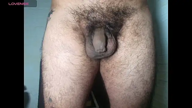 Uncut_Hairy_Dick