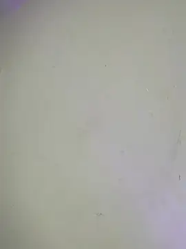 Twinkcock22