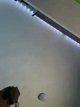 DaeDotFrankyLoko